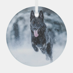 Zwarte herder in het Hoesje van de sneeuwdekooter Glas Ornament