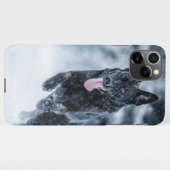 Zwarte herder in het Hoesje van de sneeuwdekooter iPhone Hoesje (Achterkant horizontaal)
