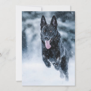 Zwarte herder in het Hoesje van de sneeuwdekooter Kaart