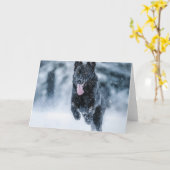 Zwarte herder in het Hoesje van de sneeuwdekooter Kaart (Gele Bloem)