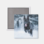 Zwarte herder in het Hoesje van de sneeuwdekooter Magneet (Voorkant / Achterkant)