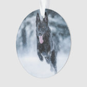 Zwarte herder in het Hoesje van de sneeuwdekooter Ornament (voorkant)