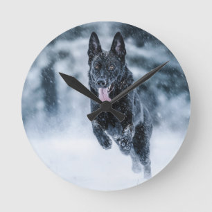 Zwarte herder in het Hoesje van de sneeuwdekooter Ronde Klok