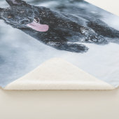 Zwarte herder in het Hoesje van de sneeuwdekooter Sherpa Deken (3/4)