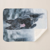 Zwarte herder in het Hoesje van de sneeuwdekooter Sherpa Deken (Voorkant (horizontaal))