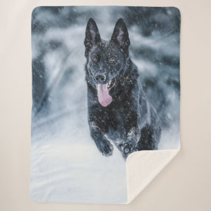 Zwarte herder in het Hoesje van de sneeuwdekooter Sherpa Deken