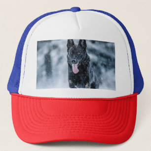 Zwarte herder in het Hoesje van de sneeuwdekooter Trucker Pet