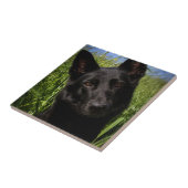 zwarte herder tegeltje (Zijkant)