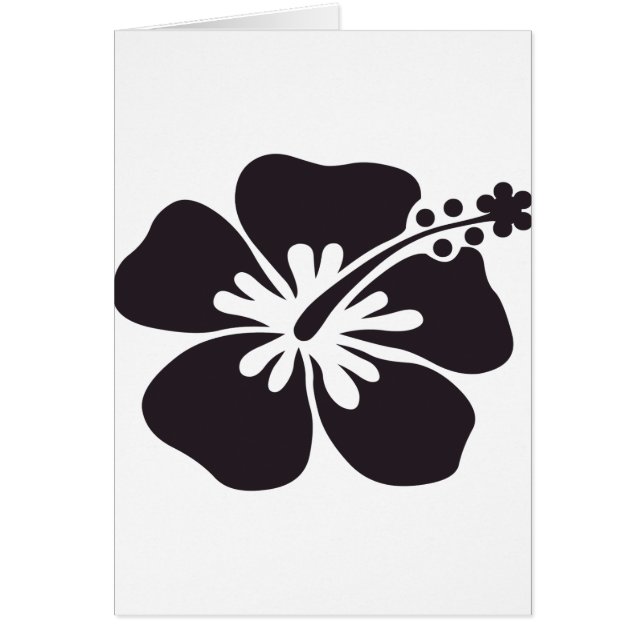 zwarte hibiscus (Voorkant)