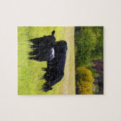 Zwarte Hoekvee Grazing in geel grasveld Legpuzzel (Horizontaal)