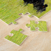 Zwarte Hoekvee Grazing in geel grasveld Legpuzzel (Zijkant)