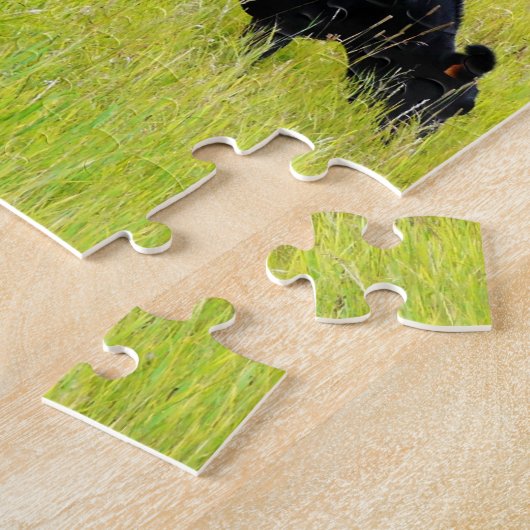 Zwarte Hoekvee Grazing in geel grasveld Legpuzzel (Zijkant)