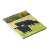 Zwarte Hoekvee Grazing in geel grasveld Notitieblok (Schuin)