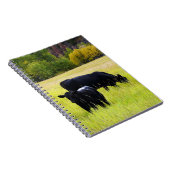 Zwarte Hoekvee Grazing in geel grasveld Notitieboek (Rechterzijde)