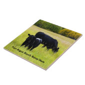 Zwarte Hoekvee Grazing in geel grasveld Tegeltje (Zijkant)