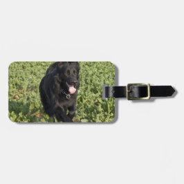 Zwarte Hond Bagagelabel
