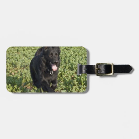 Zwarte Hond Bagagelabel (Voorkant horizontaal)