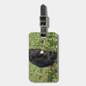 Zwarte Hond Bagagelabel (Voorkant verticaal)