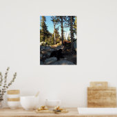 Zwarte Hond bij Alpine Camp Poster (Keuken)