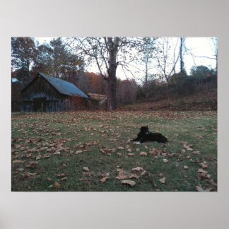 Zwarte Hond bij Herfst Schuur door Autumn Barn Poster
