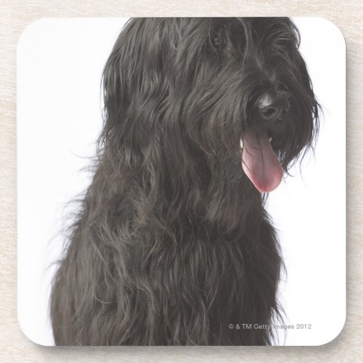 Zwarte hond, Briard Onderzetter (Voorkant)