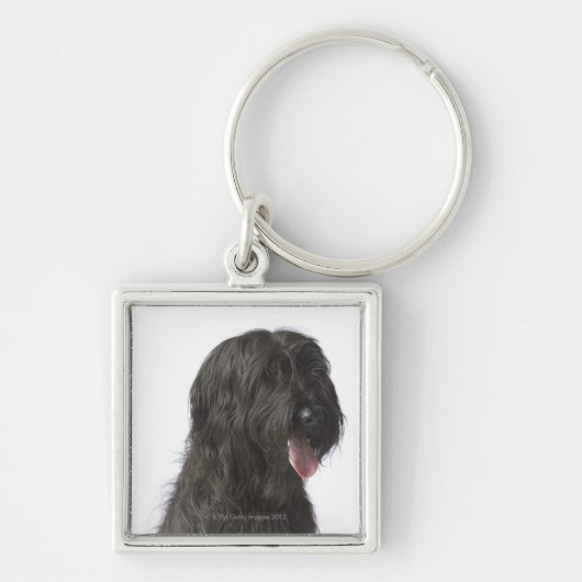 Zwarte hond, Briard Sleutelhanger (Voorkant)