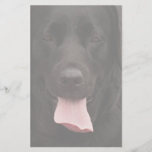 Zwarte hond briefpapier
