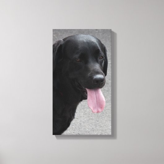 Zwarte hond canvas afdruk (Voorkant)