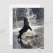 Zwarte hond die door de fontein springt aan de wat briefkaart (Voorkant / Achterkant)