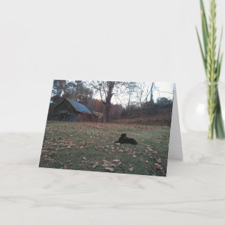 Zwarte Hond door Autumn Barn Wenskaart Kaart