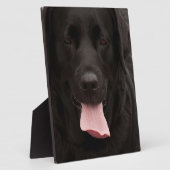 Zwarte hond fotoplaat (Zijkant)