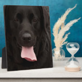Zwarte hond fotoplaat (Zijkant)