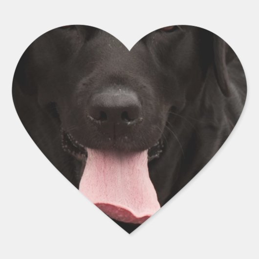 Zwarte hond hart sticker (Voorkant)