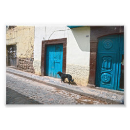 Zwarte hond in Cusco, Peru Foto Afdruk