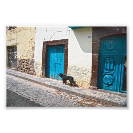 Zwarte hond in Cusco, Peru Foto Afdruk (Voorkant)