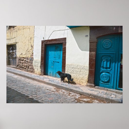 Zwarte hond in Cusco, Peru Poster (Voorkant)
