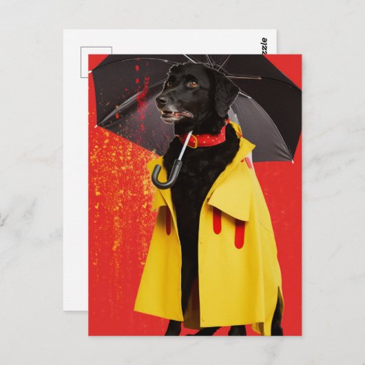 Zwarte Hond in een gele regenjas Briefkaart (Voorkant / Achterkant)