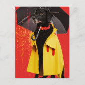 Zwarte Hond in een gele regenjas Briefkaart (Voorkant)