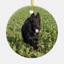 Zwarte hond keramisch ornament