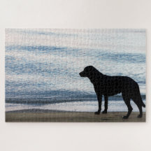 Zwarte hond