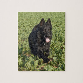 Zwarte hond legpuzzel