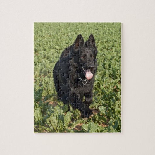 Zwarte hond legpuzzel (Verticaal)
