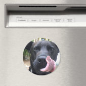 Zwarte hond magneet (Insitu (Vaatwasser))