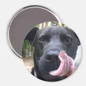 Zwarte hond magneet (Voorkant / Achterkant)