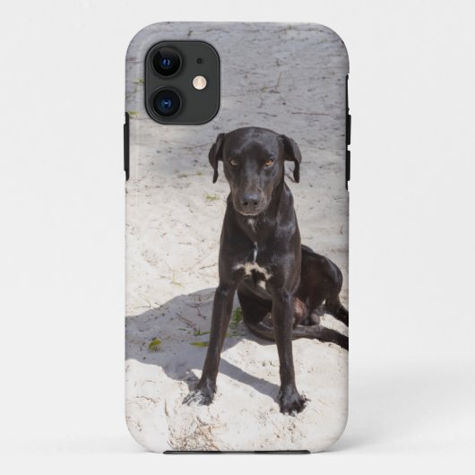 Zwarte hond met een kwaadaardig oog Case-Mate iPhone case (Achterkant)