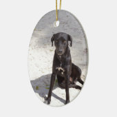 Zwarte hond met een kwaadaardig oog keramisch ornament (Links)