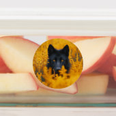 Zwarte hond met prachtige gouden ogen labels (Aangebracht)