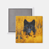 Zwarte hond met prachtige gouden ogen magneet (Voorkant / Achterkant)