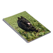 Zwarte hond notitieboek (Rechterzijde)