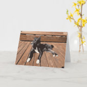 Zwarte hond op een slaappop kaart (Gele Bloem)